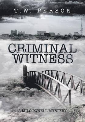 bokomslag Criminal Witness
