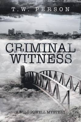 bokomslag Criminal Witness