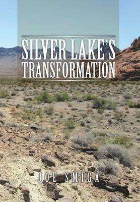 Silver Lake's Transformation 1