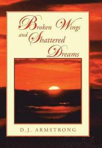 bokomslag Broken Wings and Shattered Dreams