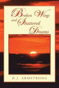 bokomslag Broken Wings and Shattered Dreams