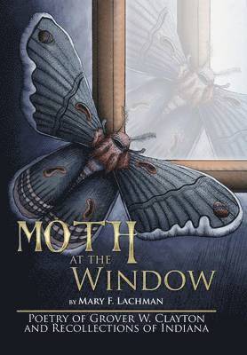 Moth at the Window 1