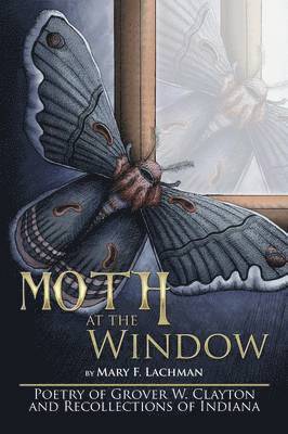 Moth at the Window 1