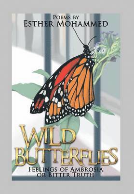 Wild Butterflies 1