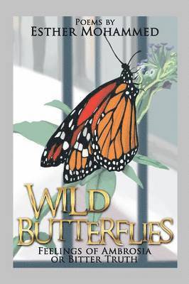 Wild Butterflies 1