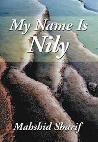bokomslag My Name Is Nily