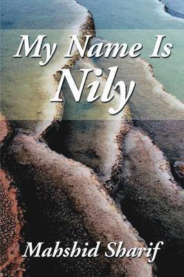 bokomslag My Name Is Nily