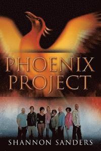 bokomslag Phoenix Project