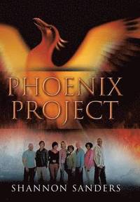 bokomslag Phoenix Project