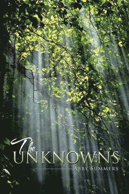 The Unknowns 1