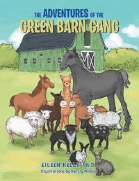 bokomslag The Adventures of the Green Barn Gang