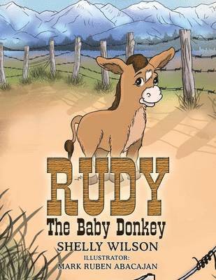 bokomslag Rudy The Baby Donkey