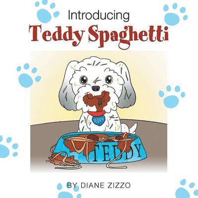 Introducing Teddy Spaghetti 1