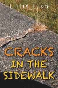 bokomslag Cracks in the Sidewalk