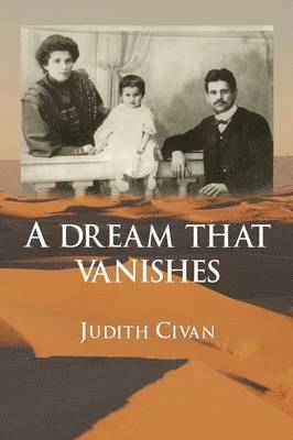 bokomslag Dream That Vanishes