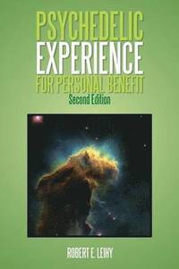 bokomslag Psychedelic Experience for Personal Benefit