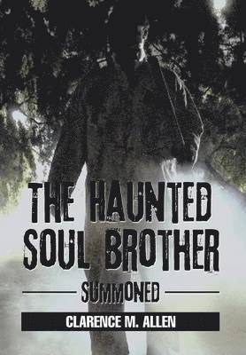 bokomslag The Haunted Soul Brother