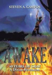 bokomslag Awake