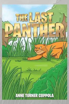 The Last Panther 1