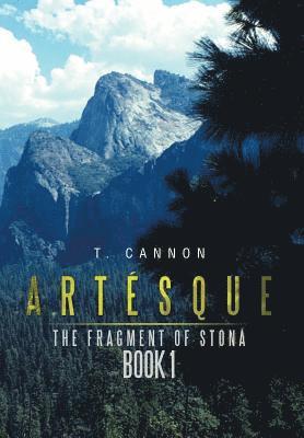 T Cannon, T. Cannon - Artésque, Inbunden