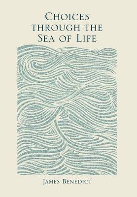 Choices Through the Sea of Life 1