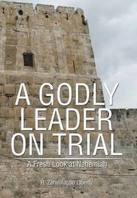 bokomslag Godly Leader on Trial