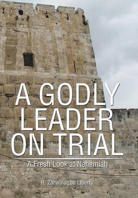 bokomslag Godly Leader on Trial