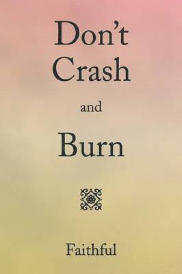 Pamela Green - Don't Crash and Burn, Häftad