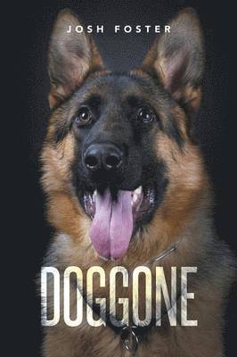 Josh Foster - Doggone, Häftad