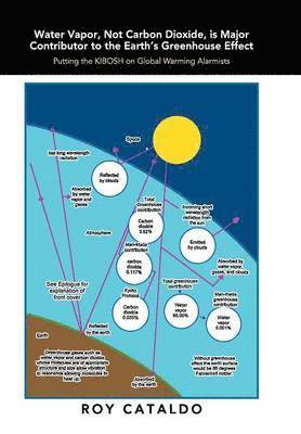 bokomslag Water Vapor, Not Carbon Dioxide, Is Major Contributor to the Earth's Greenhouse Effect