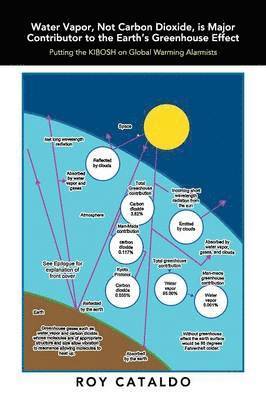 Water Vapor, Not Carbon Dioxide, Is Major Contributor to the Earth's Greenhouse Effect 1