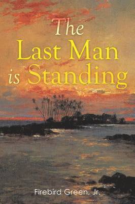 bokomslag Last Man is Standing