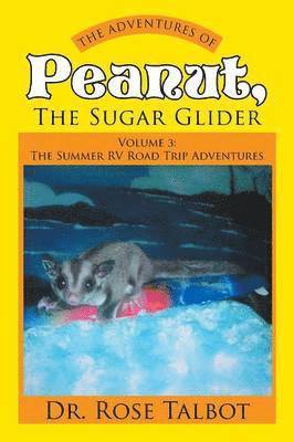 bokomslag The Adventures of Peanut, the Sugar Glider