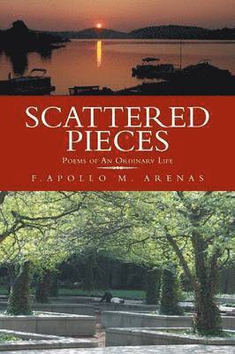 Scattered Pieces 1