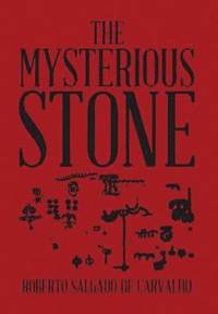 bokomslag The Mysterious Stone