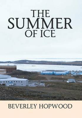 bokomslag Summer of Ice