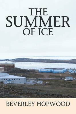 bokomslag Summer of Ice