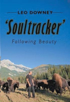 'Soultracker' 1