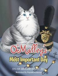 bokomslag O'Malley's Most Important Day