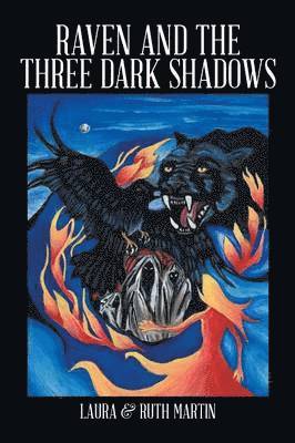 bokomslag Raven and The Three Dark Shadows