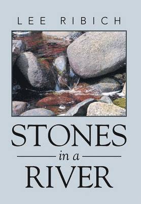 Stones in a River 1