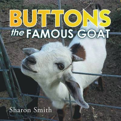 Buttons the Famous Goat 1