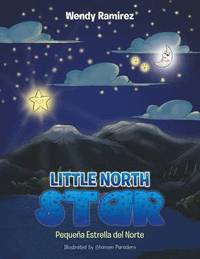bokomslag Little North Star