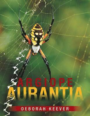 bokomslag Argiope Aurantia
