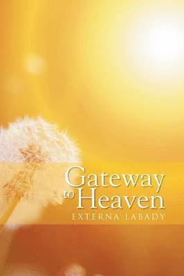 Externa Labady - Gateway to Heaven, Häftad