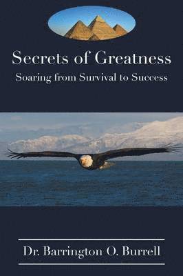 bokomslag Secrets of Greatness