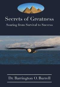 bokomslag Secrets of Greatness