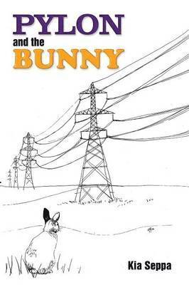 Pylon and the Bunny 1