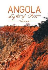 bokomslag Angola Light of Poet