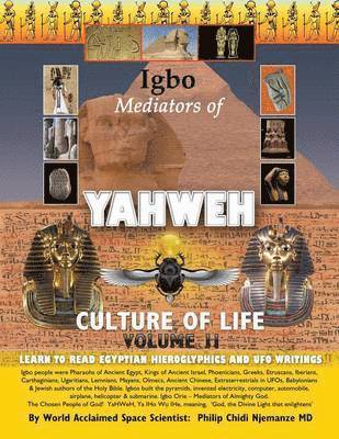 bokomslag Igbo Mediators of Yahweh Culture of Life